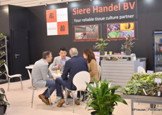 Meetings at SIere Hande.